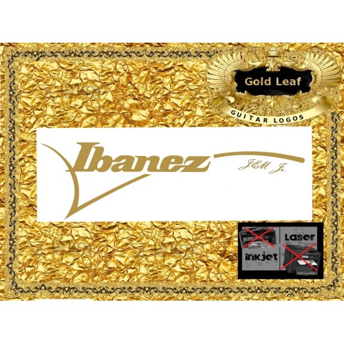 Ibanez Jem Jr. Guitar Decal #125g