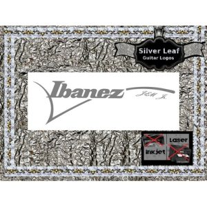 Ibanez Jem Jr. Guitar Decal #125s