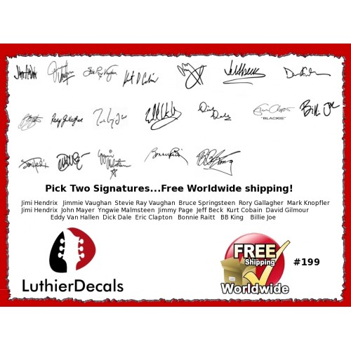 Guitar Players Signature Guitar Decal 199