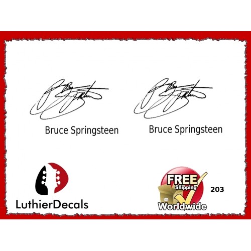 Guitar Players Bruce Springsteen Signature Guitar Decal 203