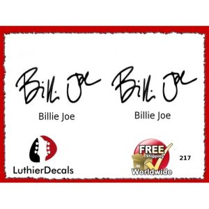 Guitar Players Billie Joe Signature Guitar Decal 217