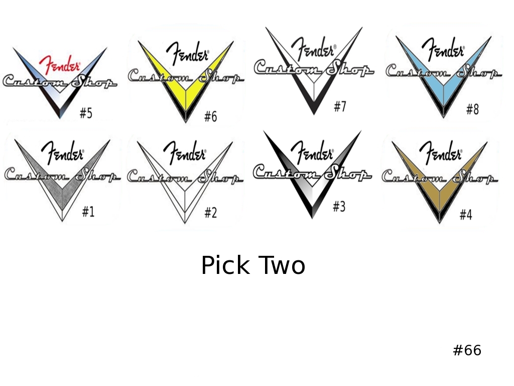 Fender Custom Shop Guitar Decal #66