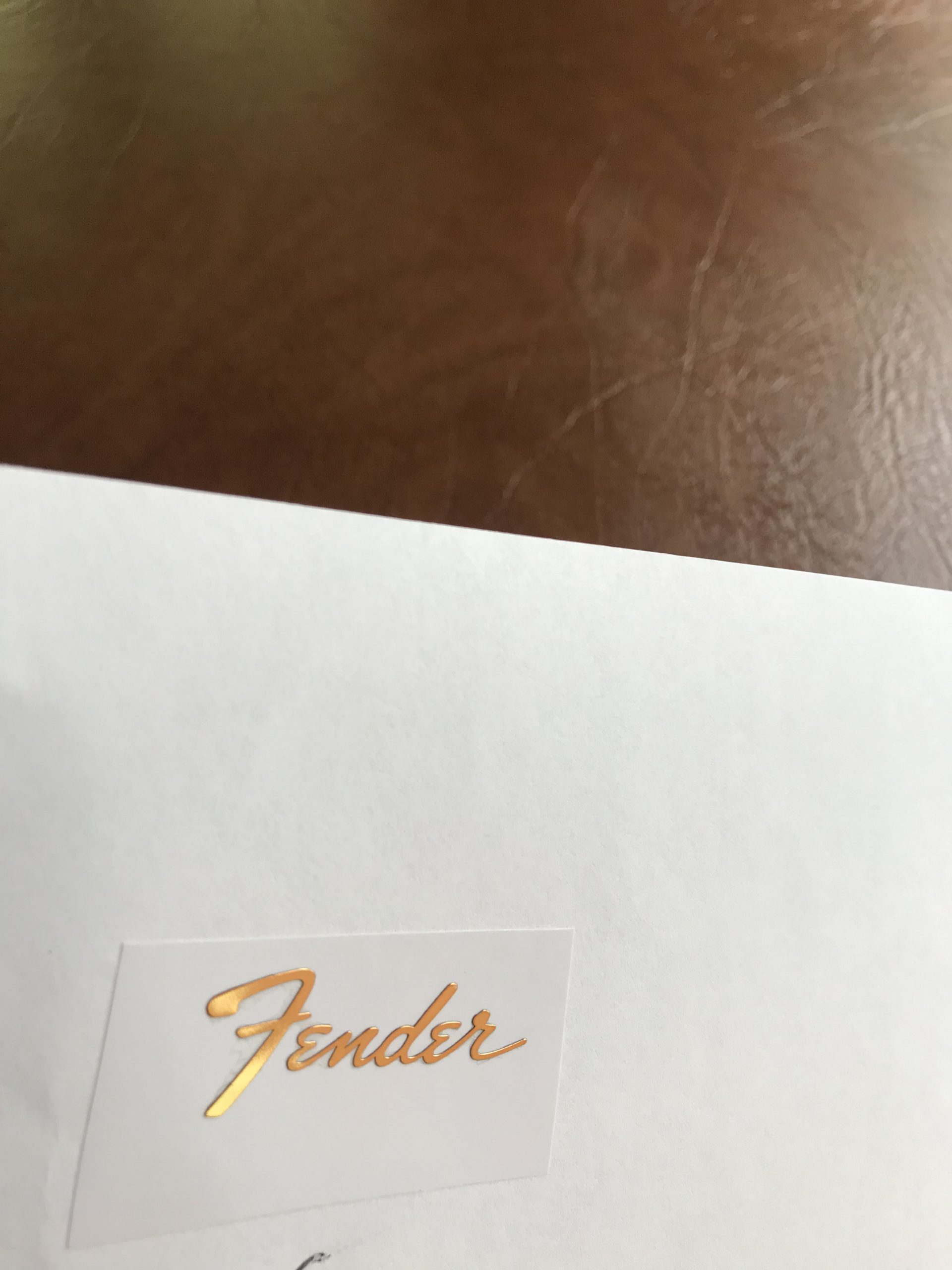 Fender Stratocaster Guitar Decal 3D Metal M21