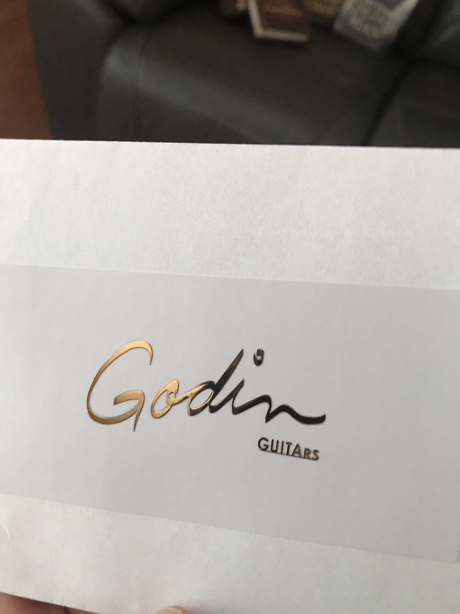 Godin Guitar Decal M72