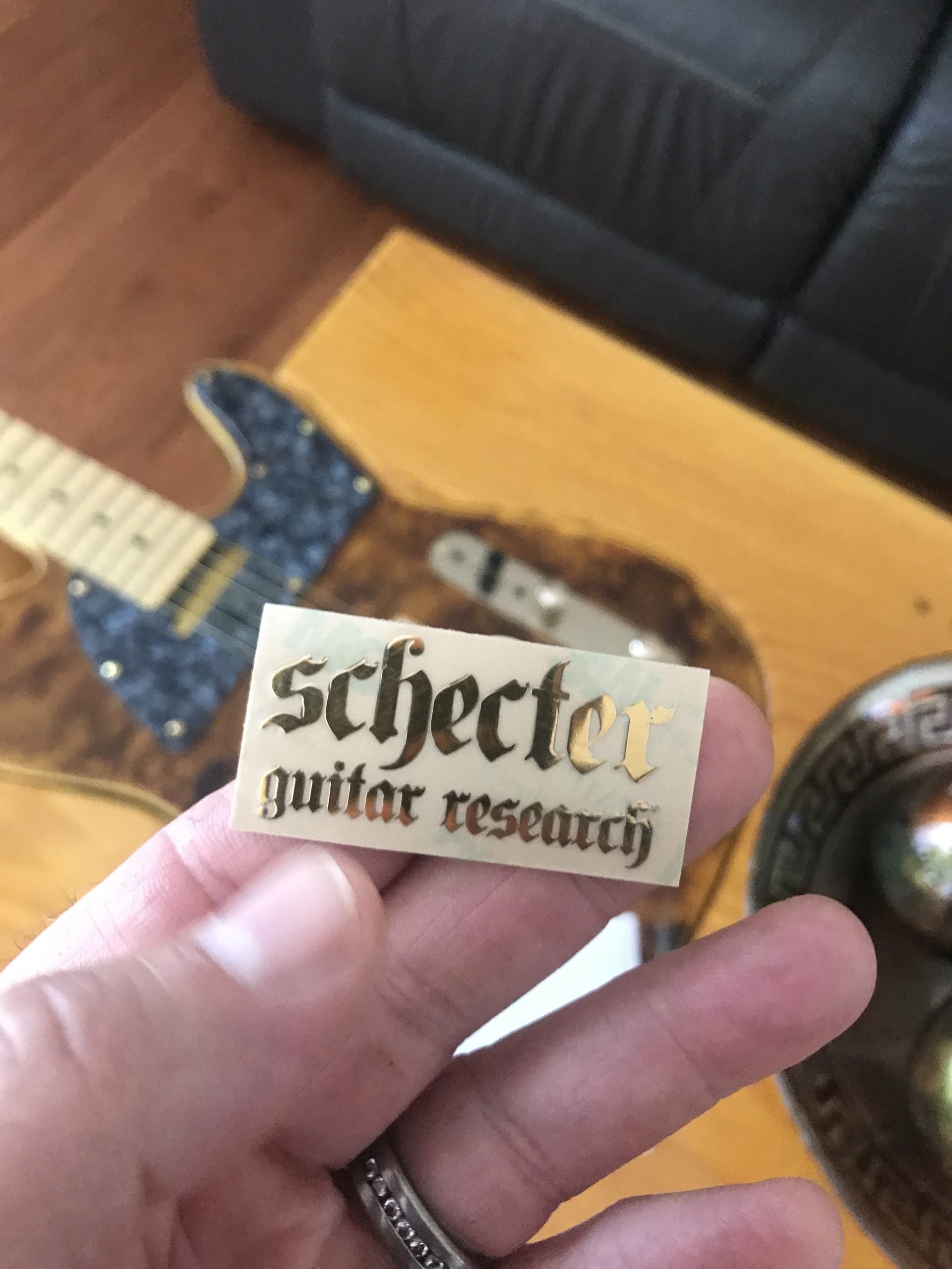 Schecter Guitar Decal Metal M79
