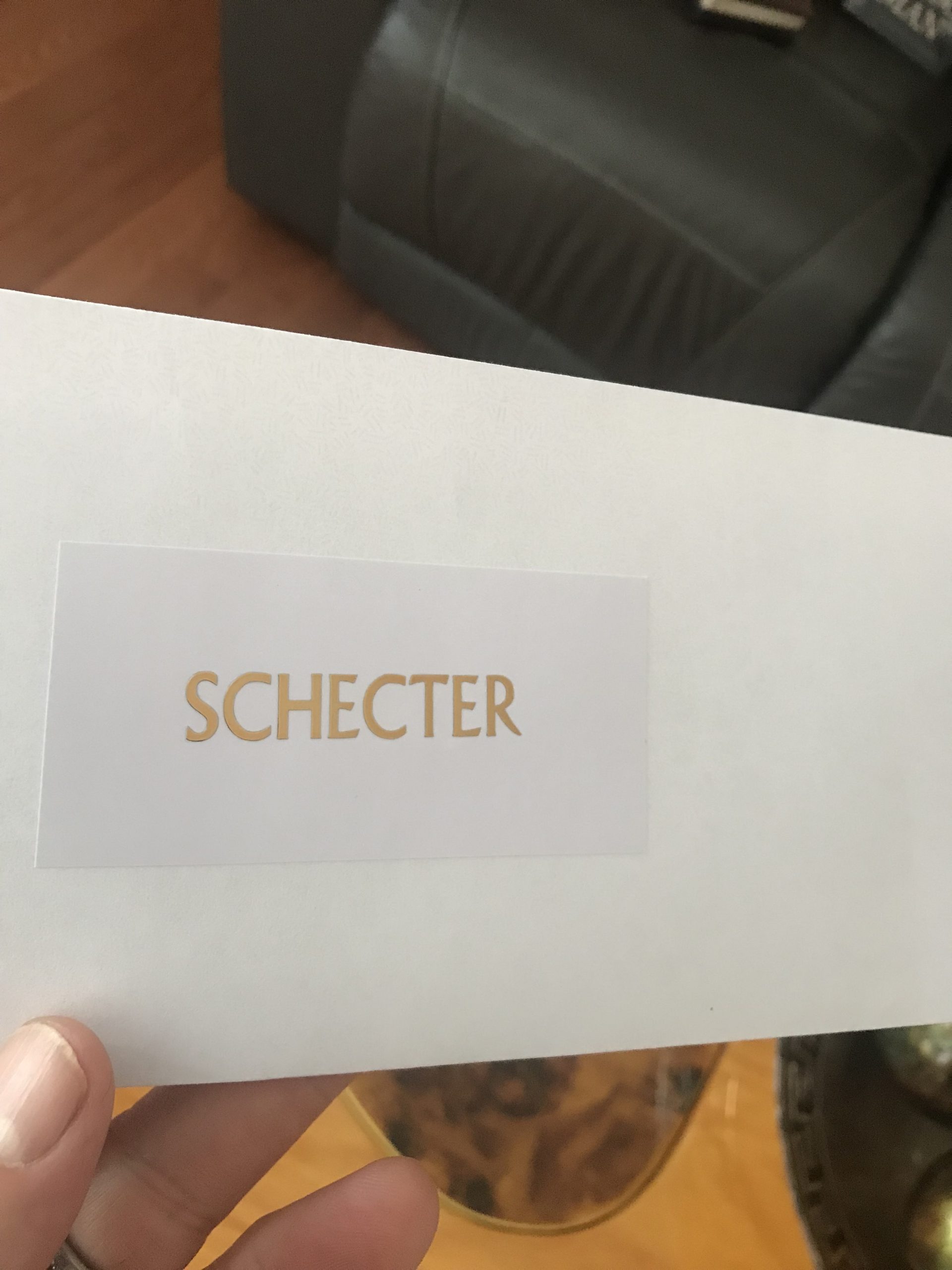 Schecter Guitar Decal Metal M80b