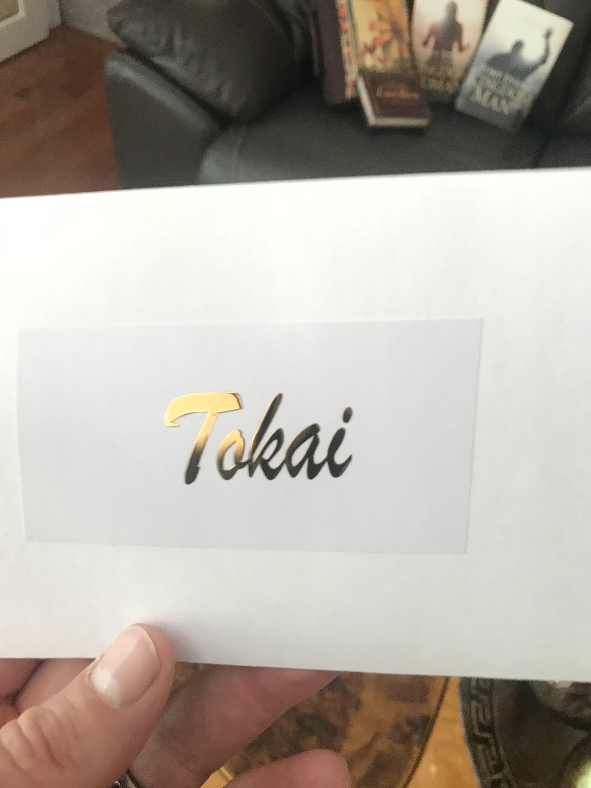 Tokai Guitar Decal M84b