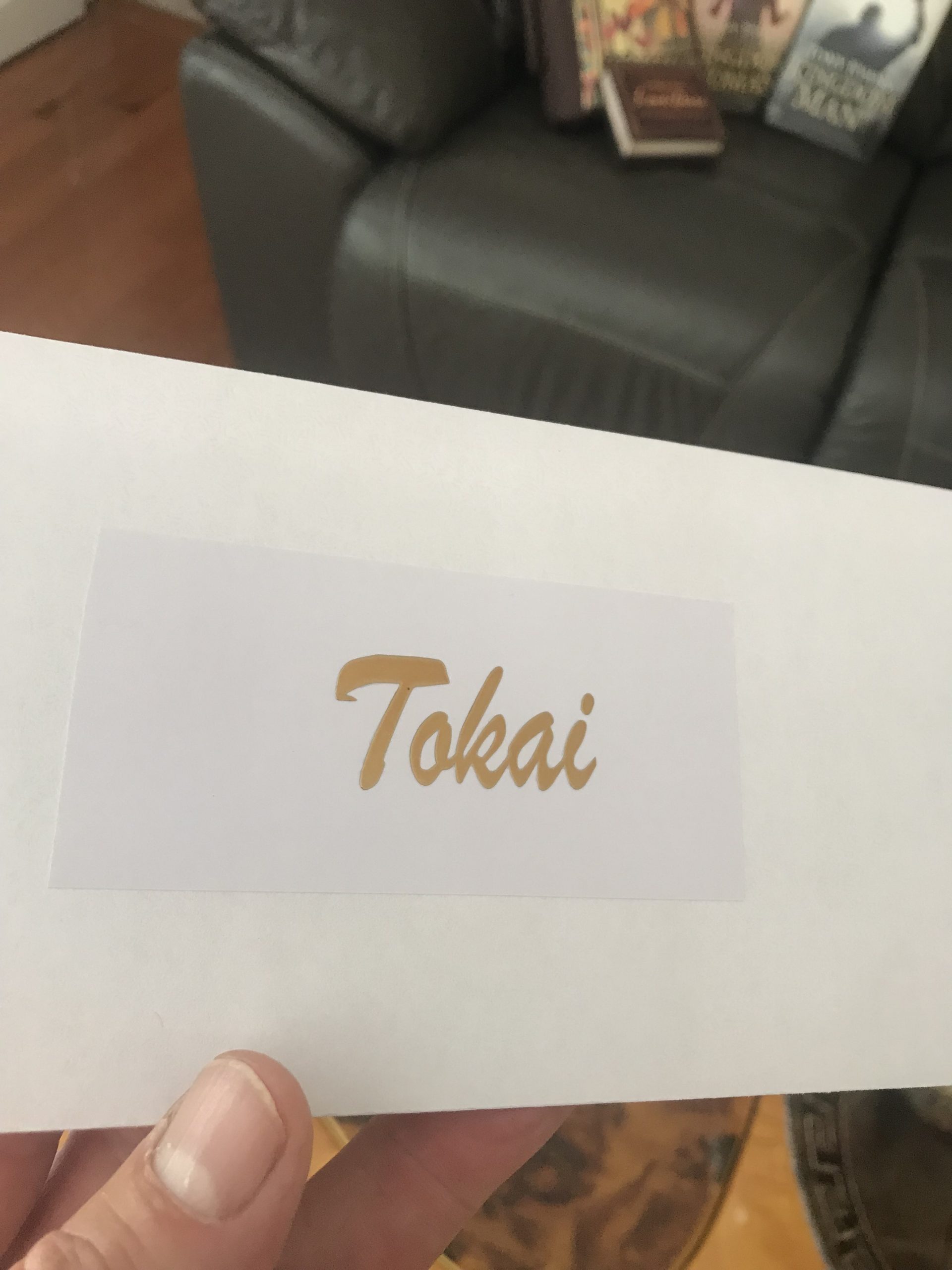 Tokai Guitar Decal M84