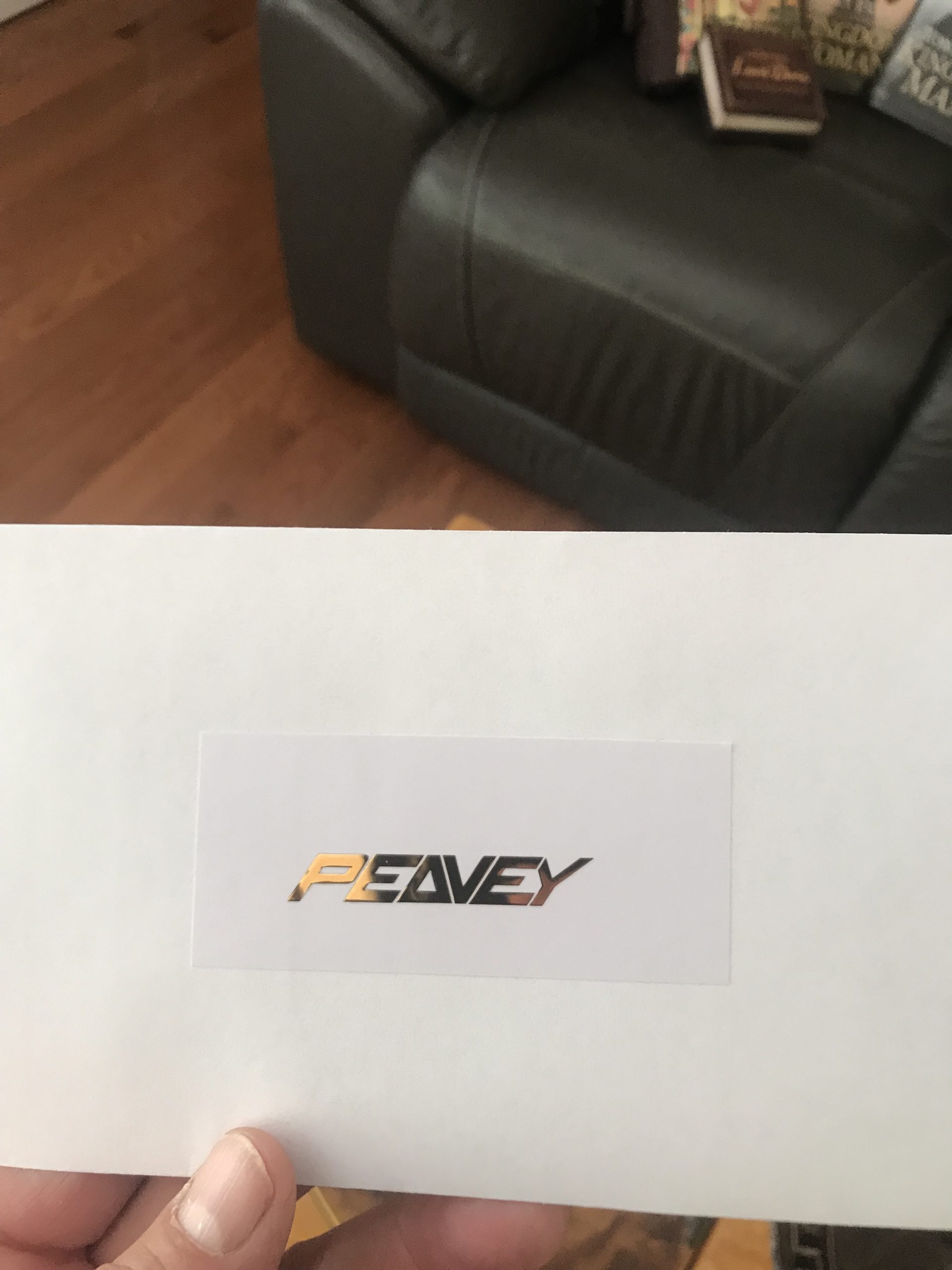 Peavey Guitar Decal Metal M81