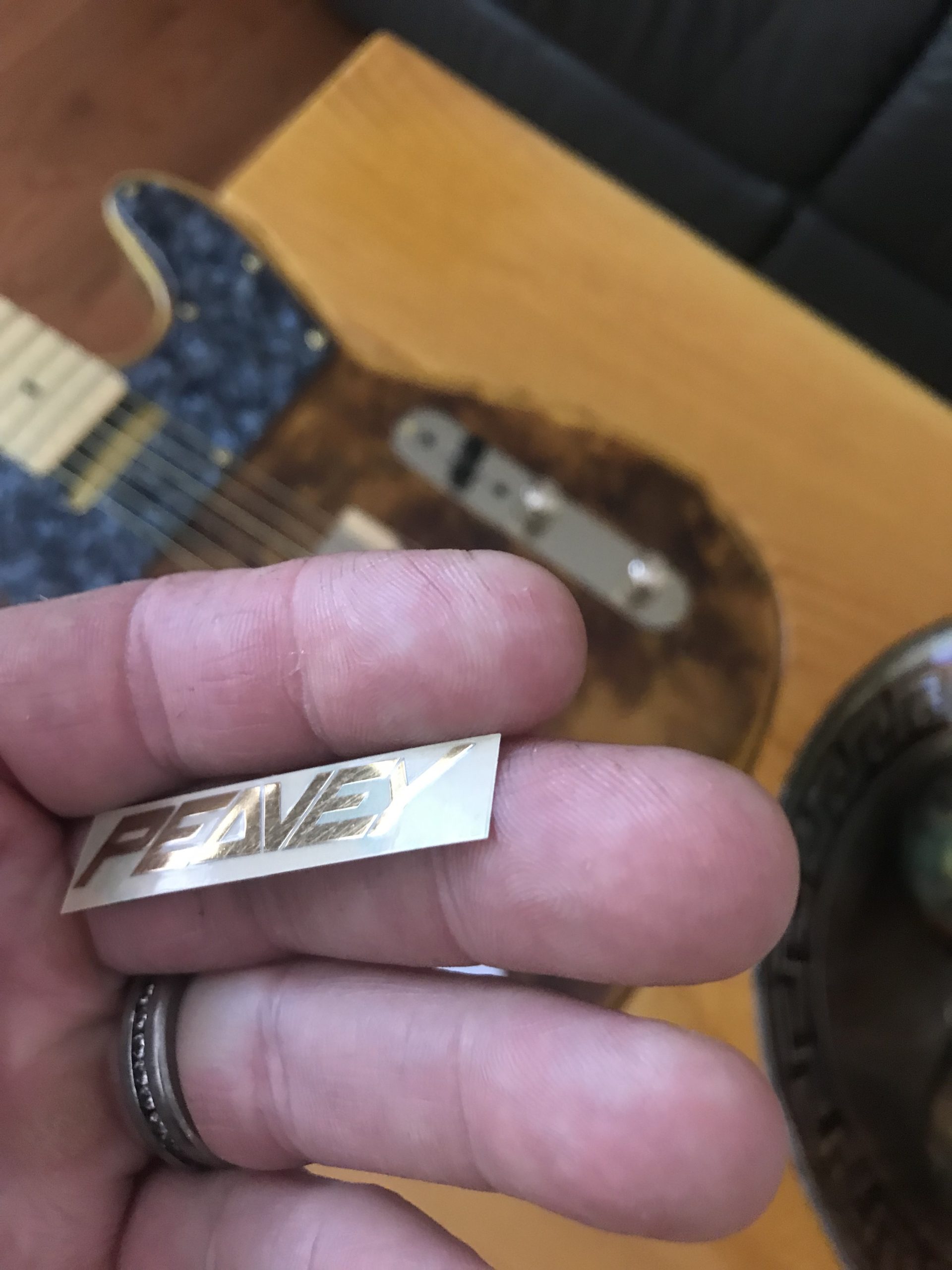 Peavey Guitar Decal Metal M81