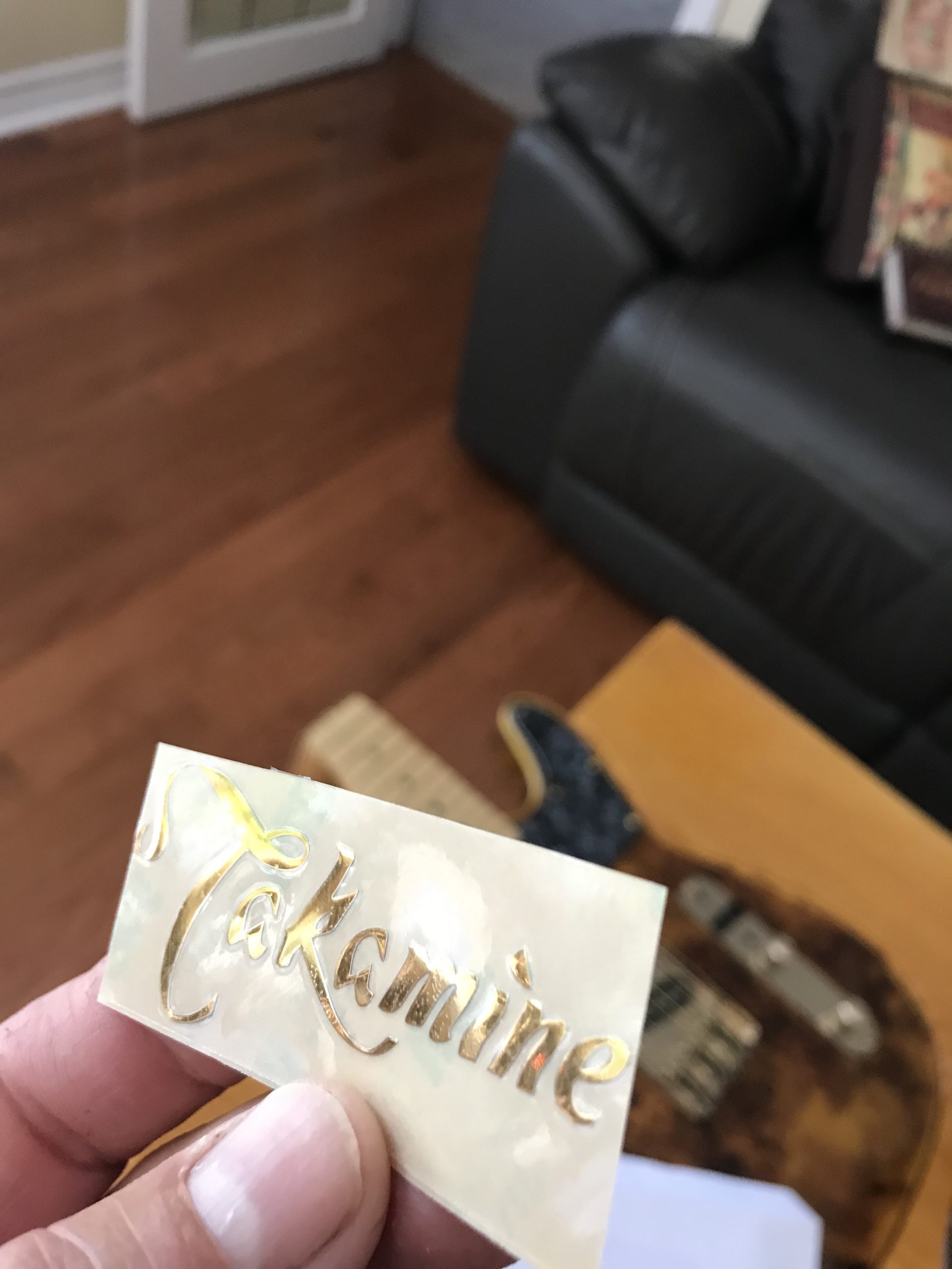 Takamine Guitar Decal Metal Laser M88