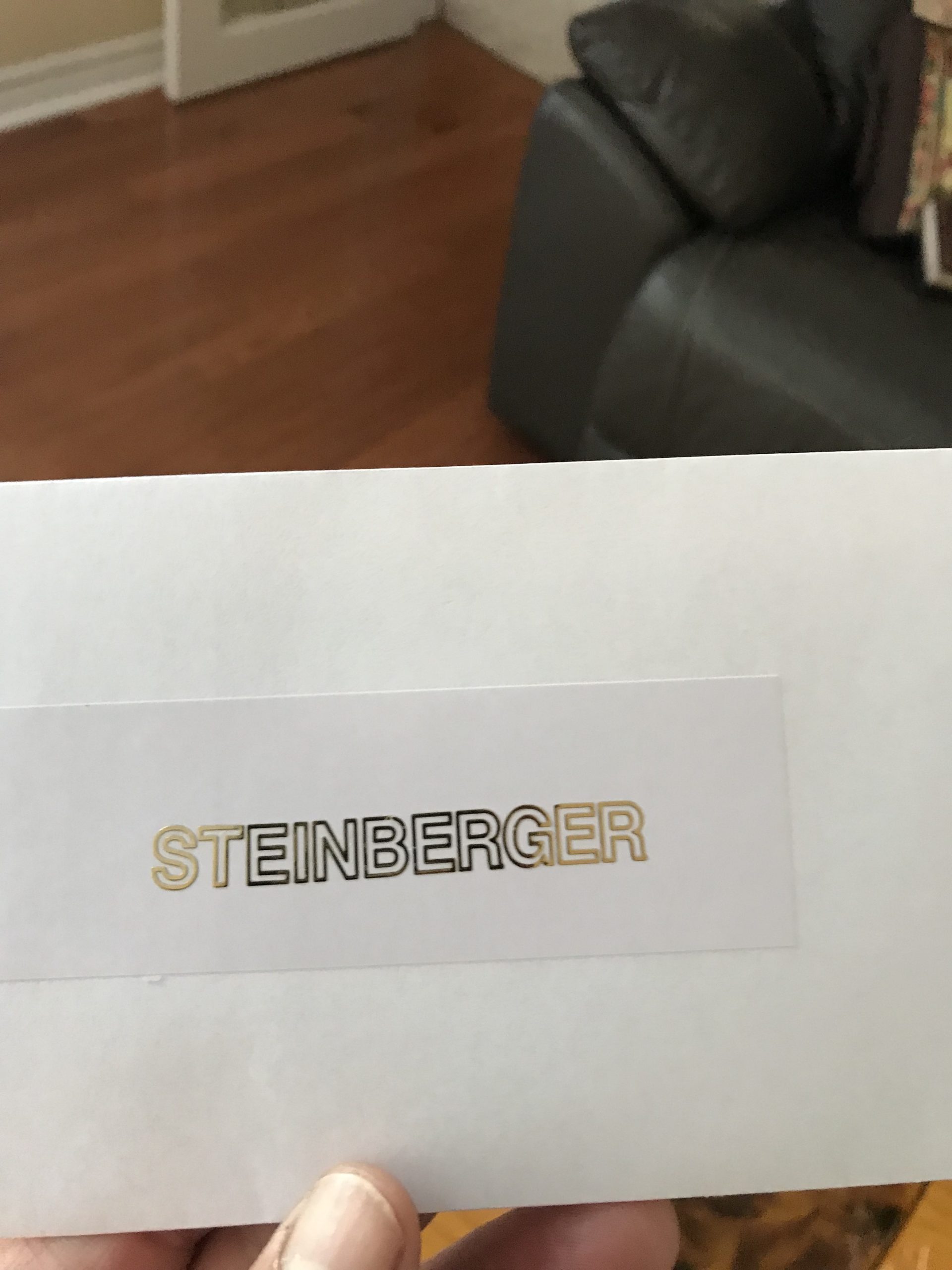 Steinberger guitar decals M83b