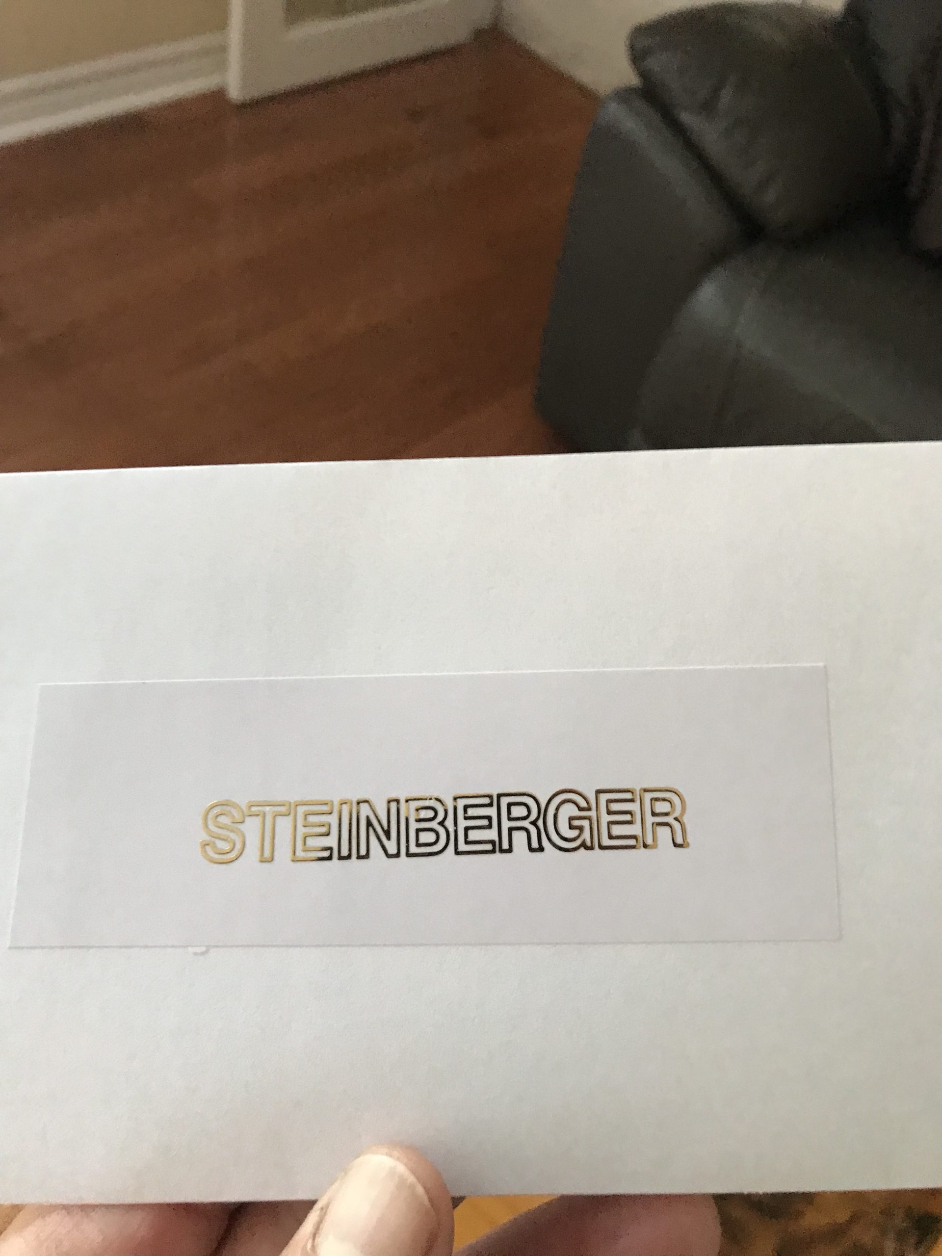 Steinberger guitar decals M83