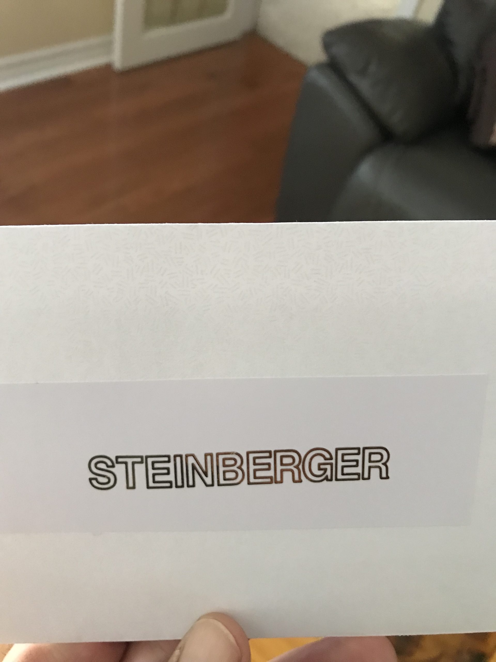 Steinberger guitar decals M83