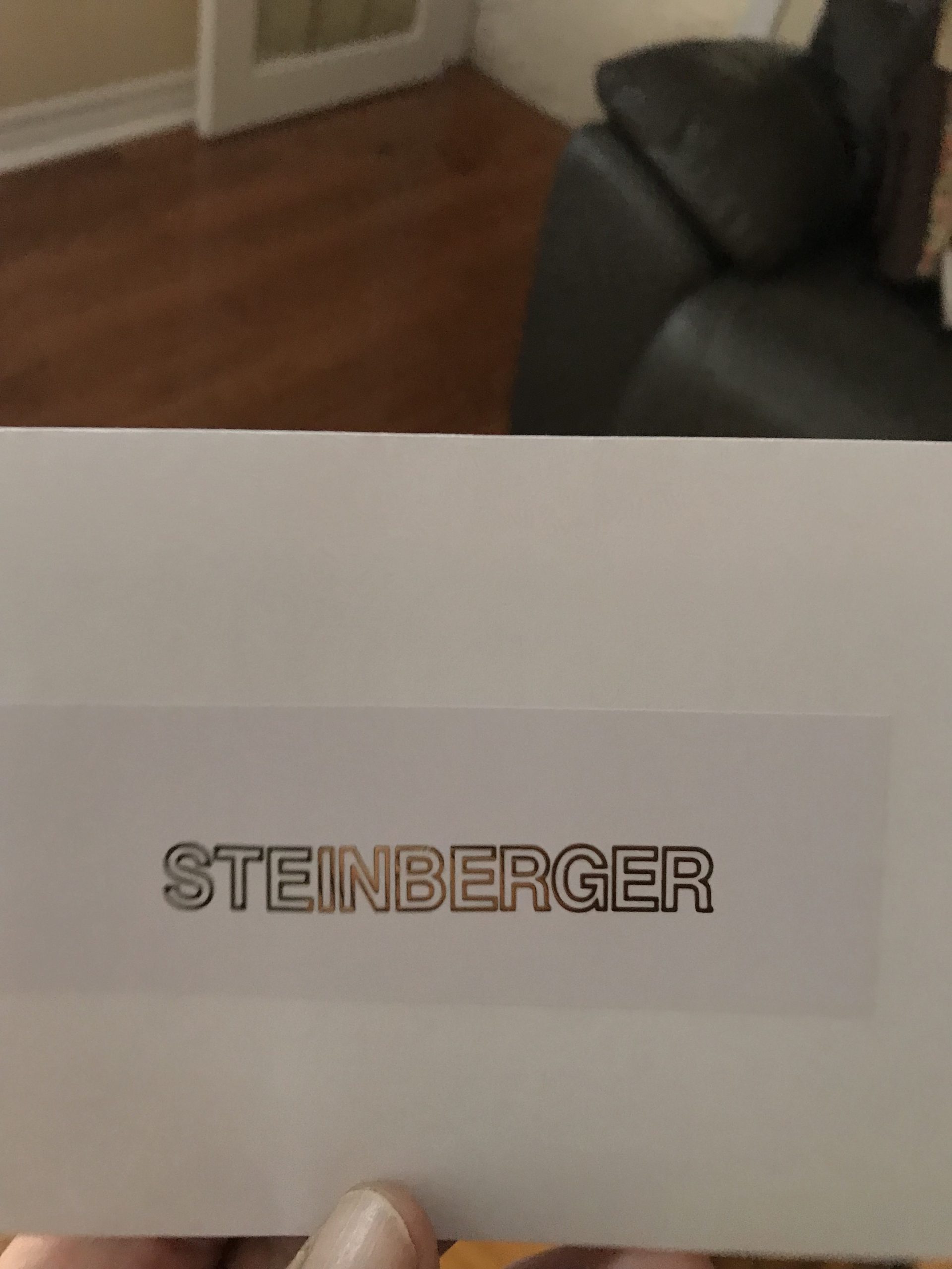 Steinberger guitar decals M83b