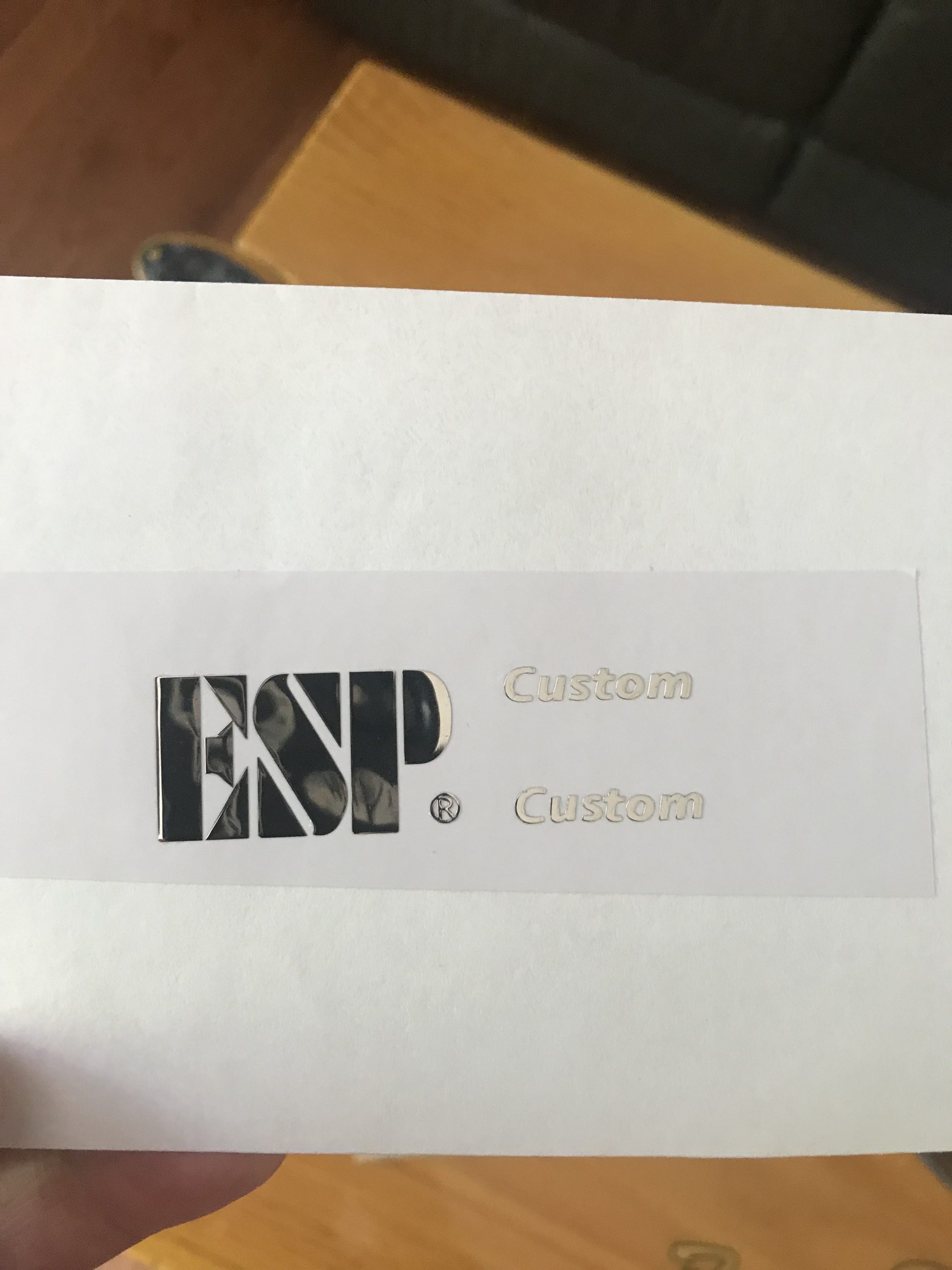ESP Guitar Decal m31b