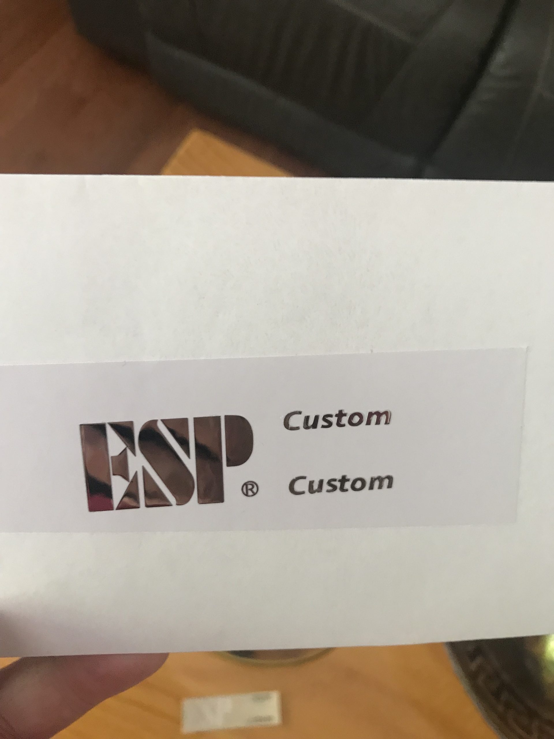 ESP Guitar Decal m31b