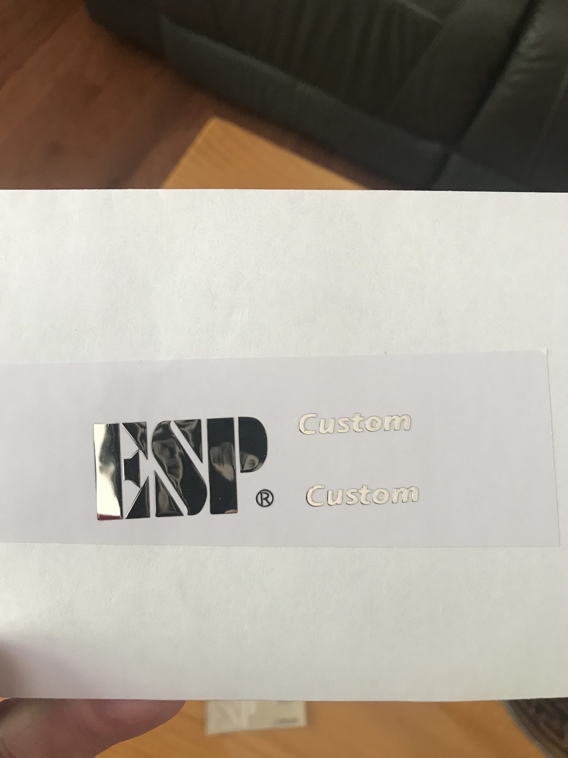 ESP Guitar Decal m31b