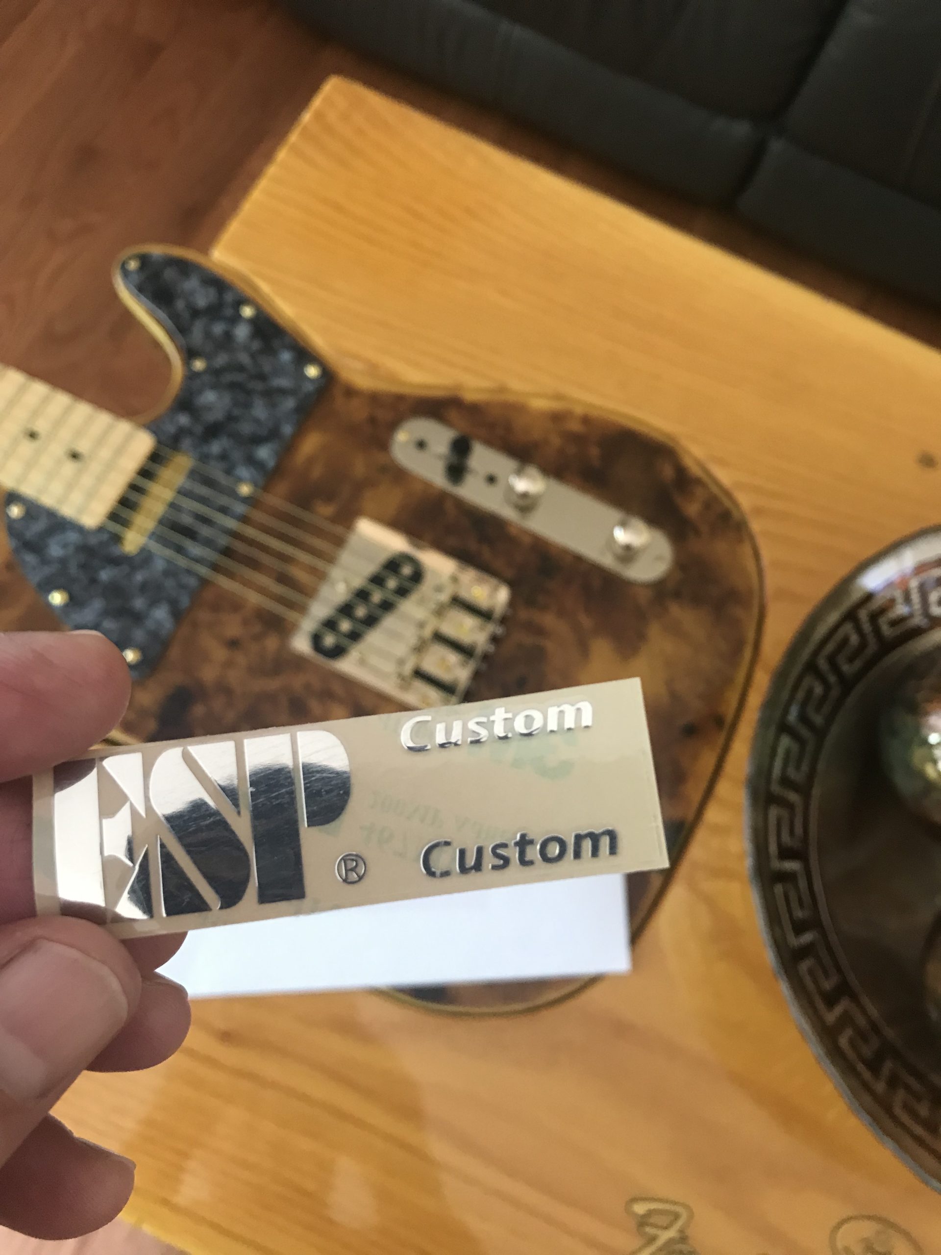 ESP Guitar Decal m31b