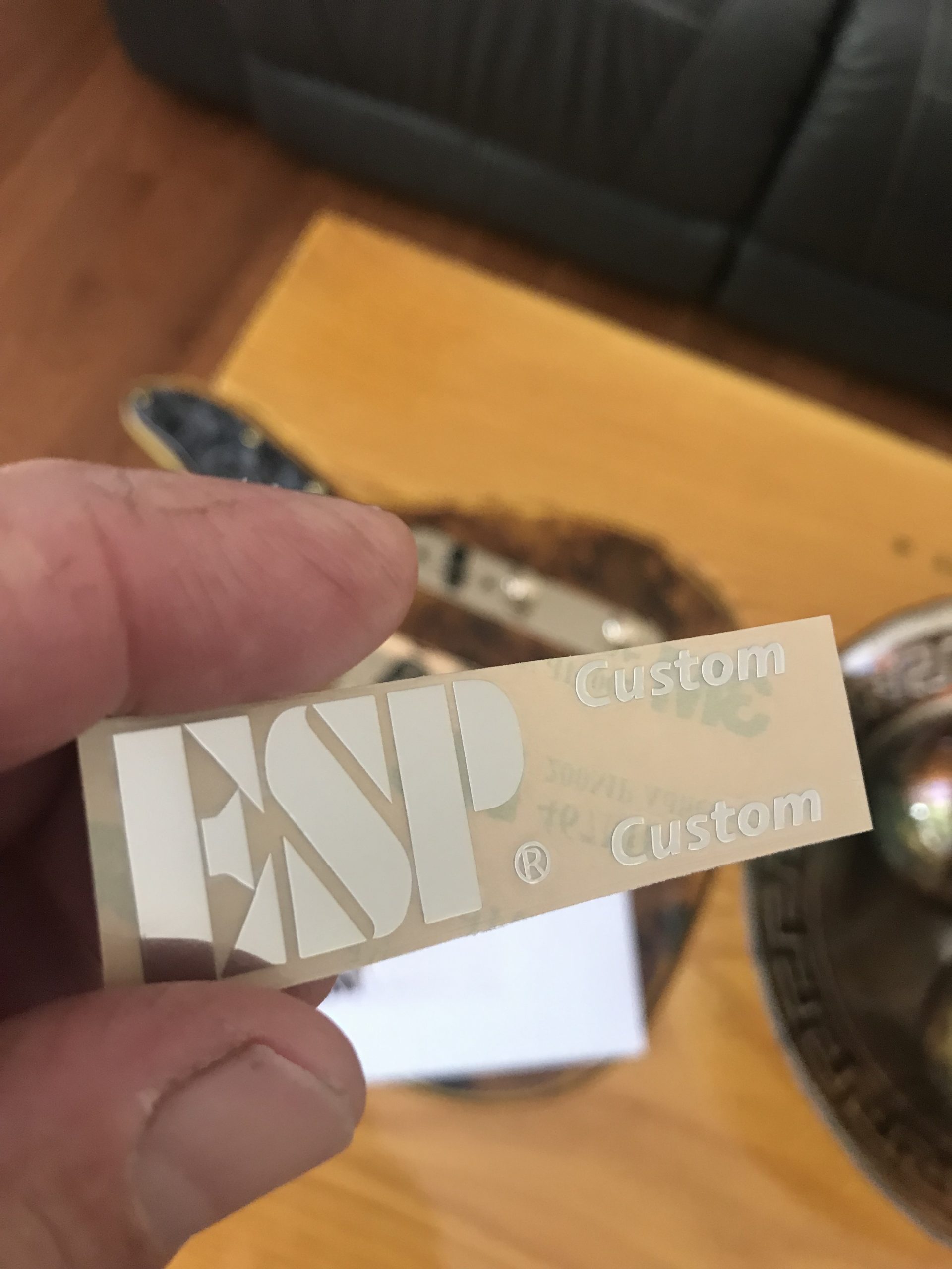 ESP Guitar Decal m31b