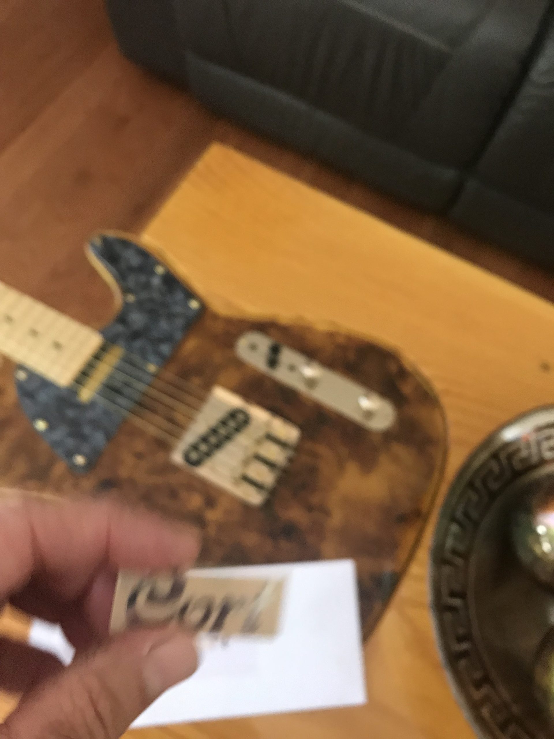 Cort Guitar Decal M51b