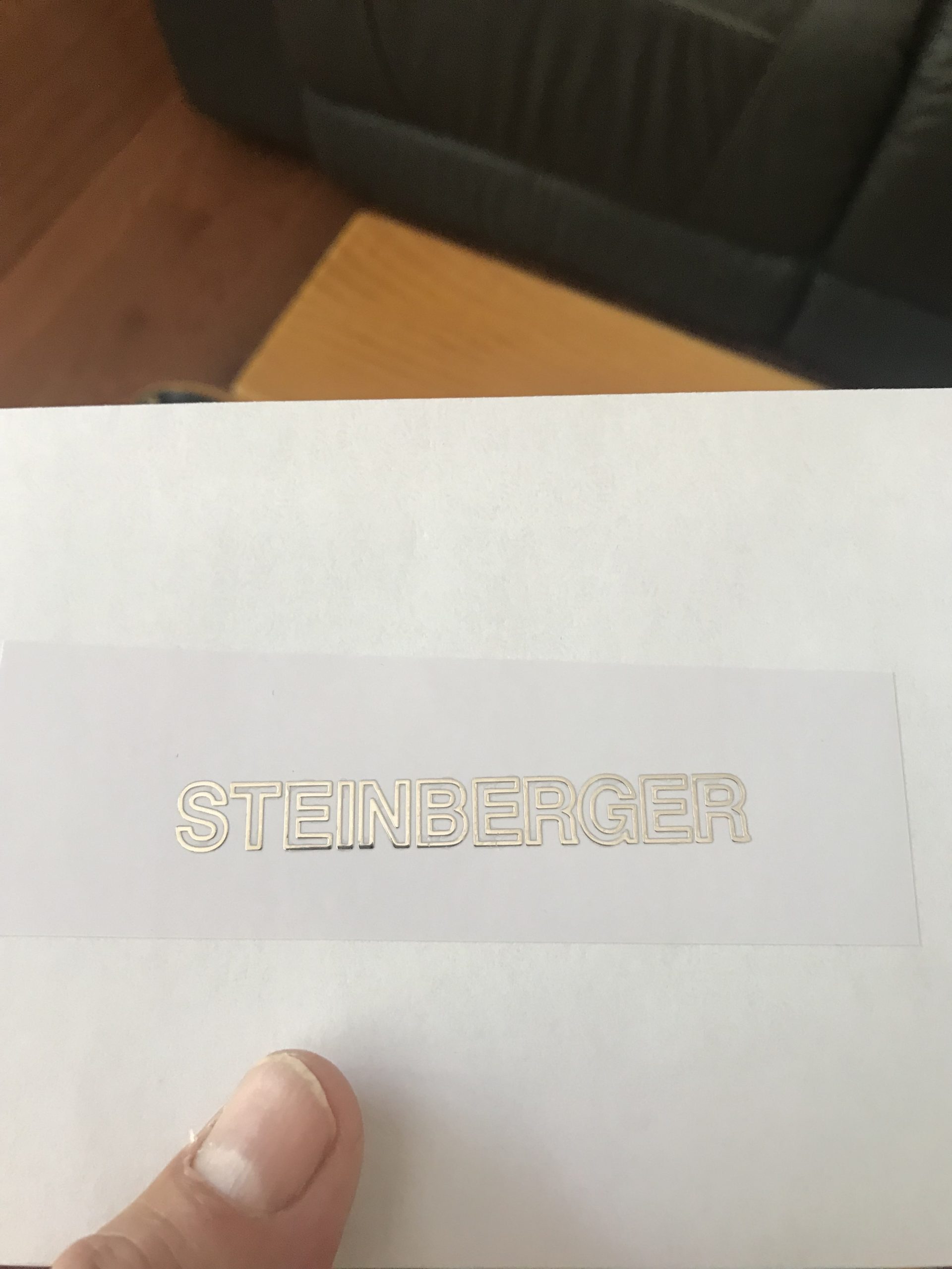 Steinberger guitar decals M69b