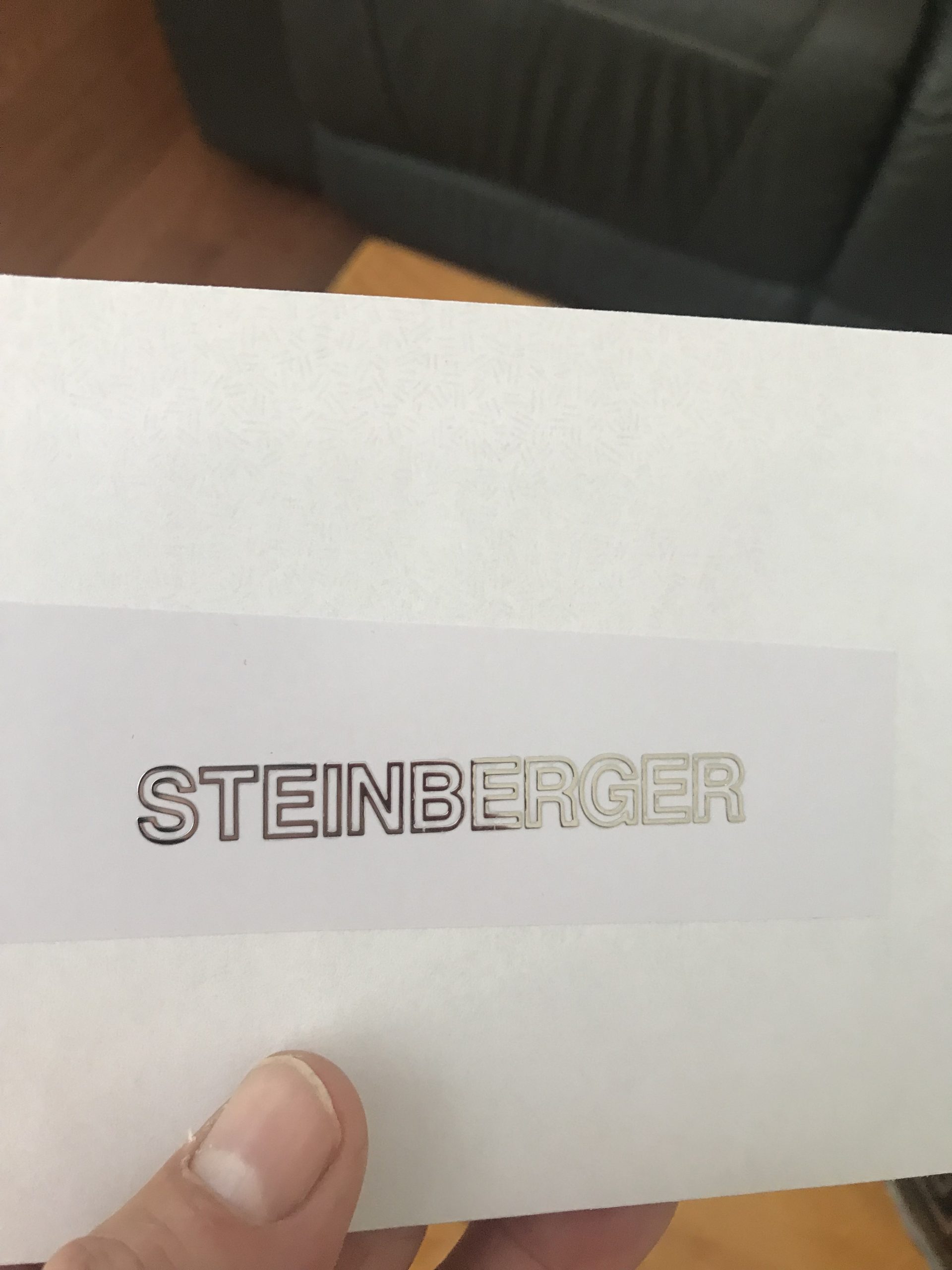 Steinberger guitar decals M69b