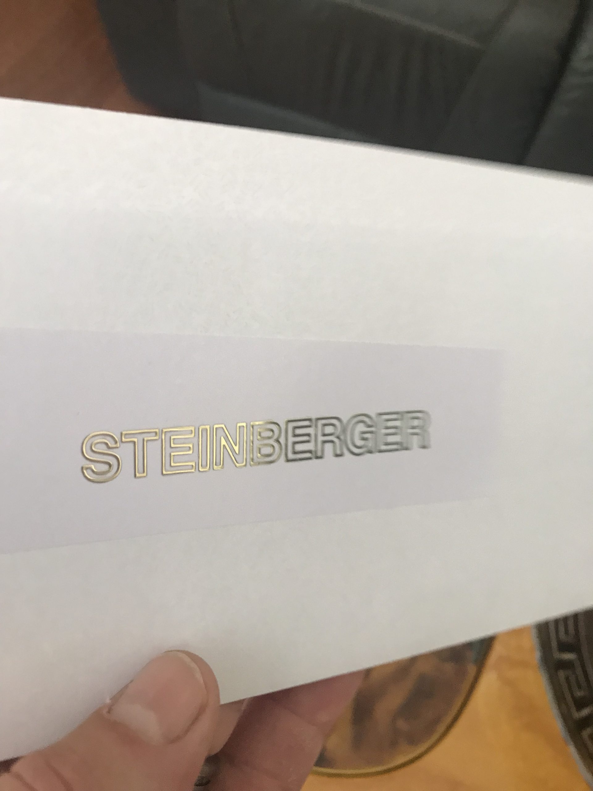 Steinberger guitar decals M69b