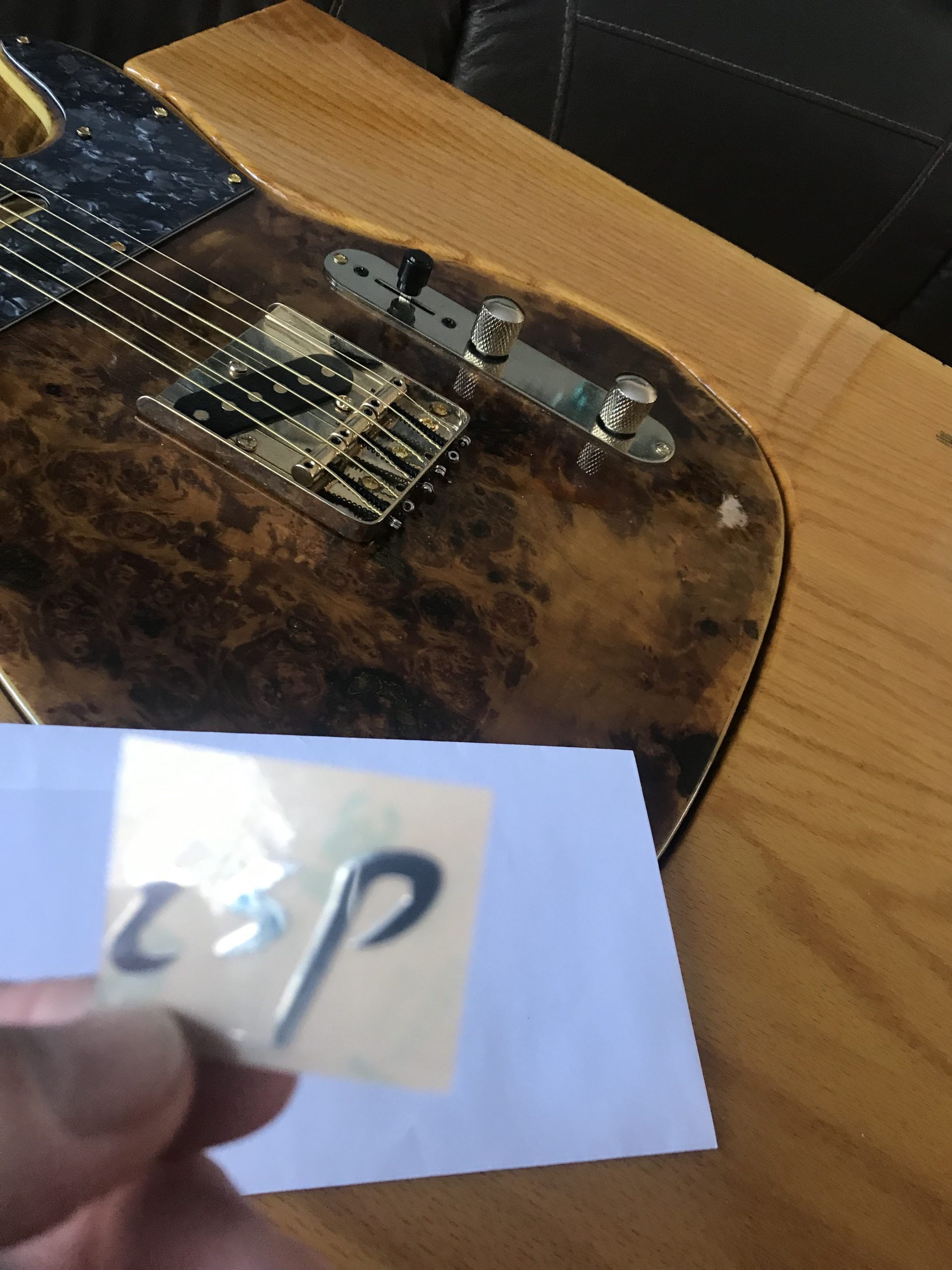 ESP Guitar Decal m96b