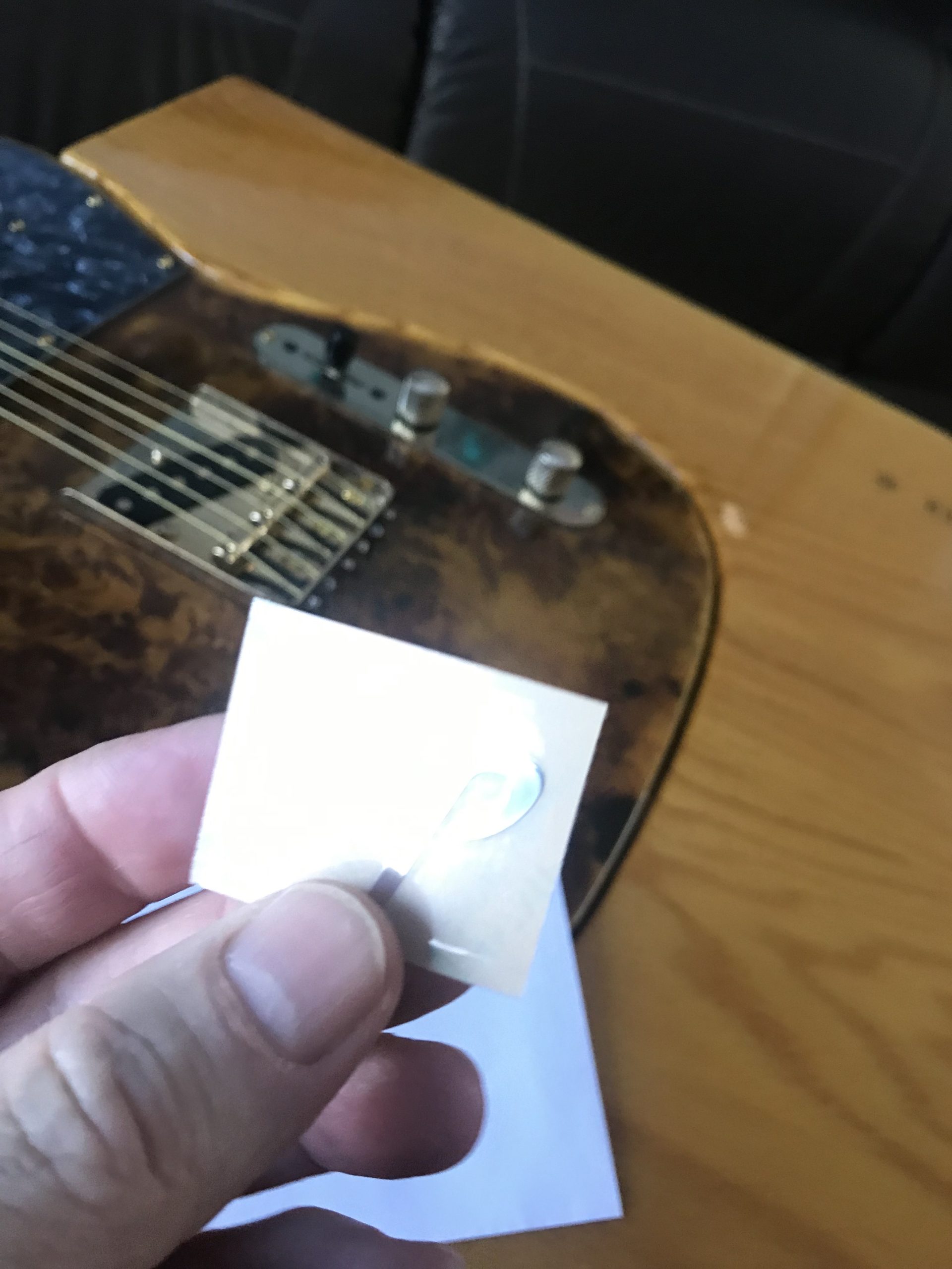 ESP Guitar Decal m96b